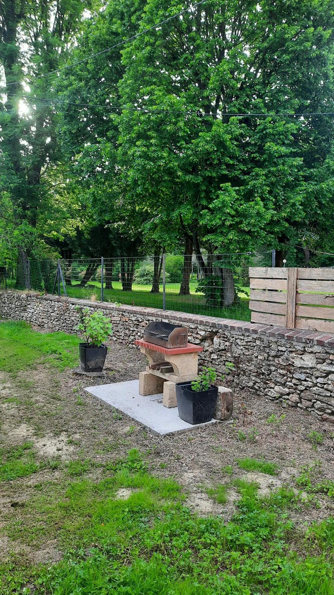 Gite Du Chateau De Chambonnieres Le Plessis-Feu-Aussoux Buitenkant foto